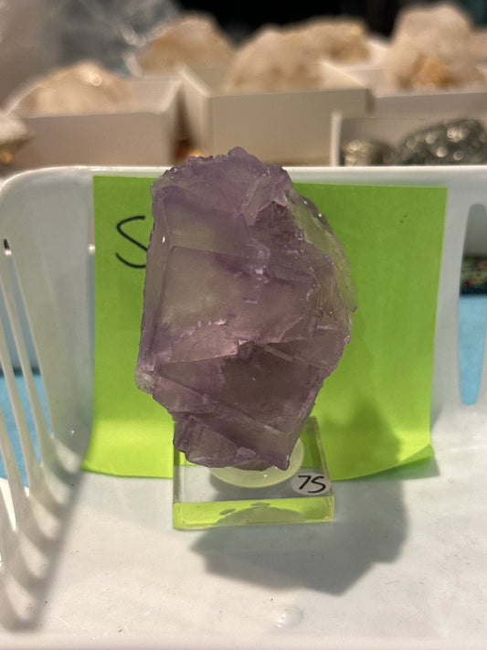 10/10/25 TikTok Live Order Sheri