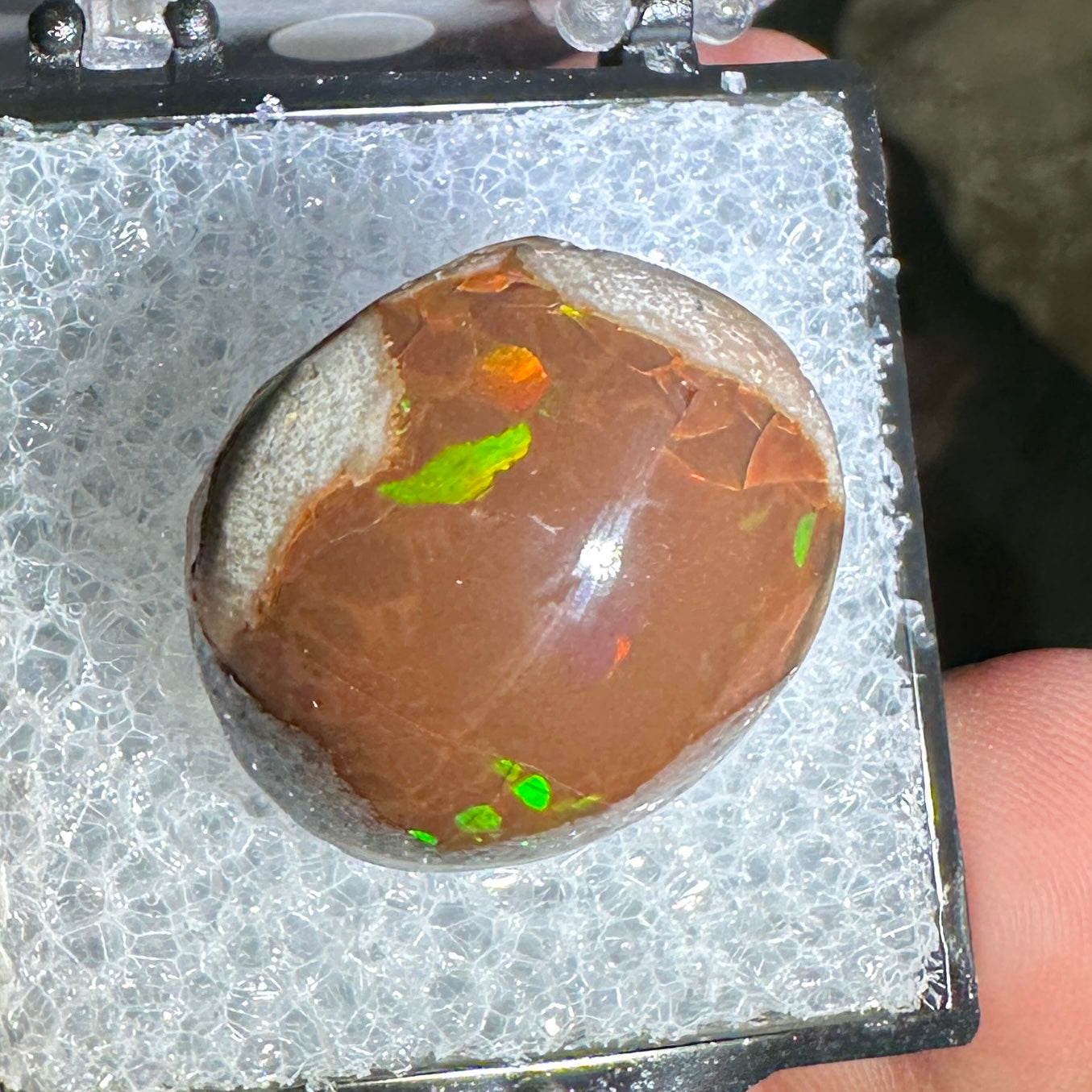 18ct A+ Polished Ethiopian Chocolate Opal in Perky Box