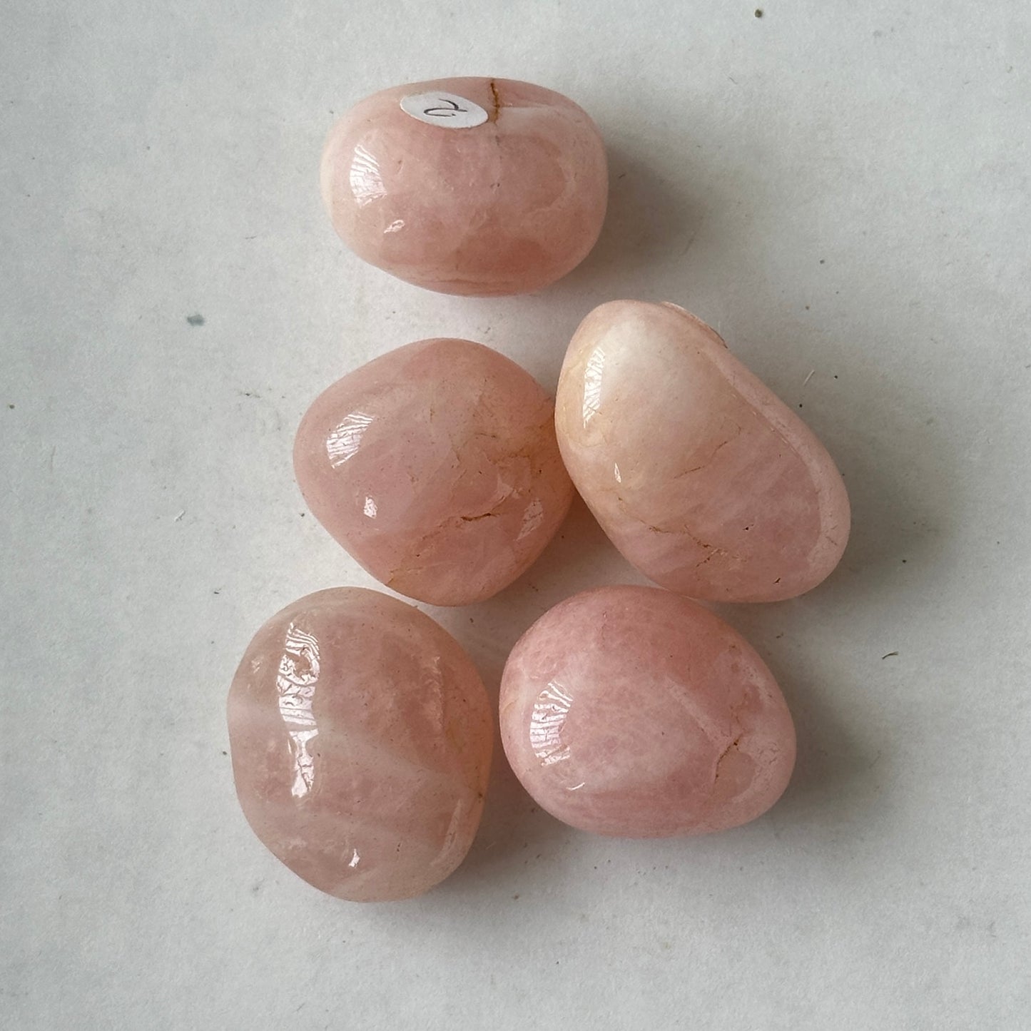 Medium Tumbled Pink Rose Quartz from Madagascar