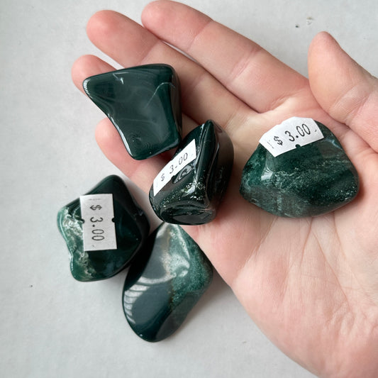 Medium Tumbled Green Bloodstone from India