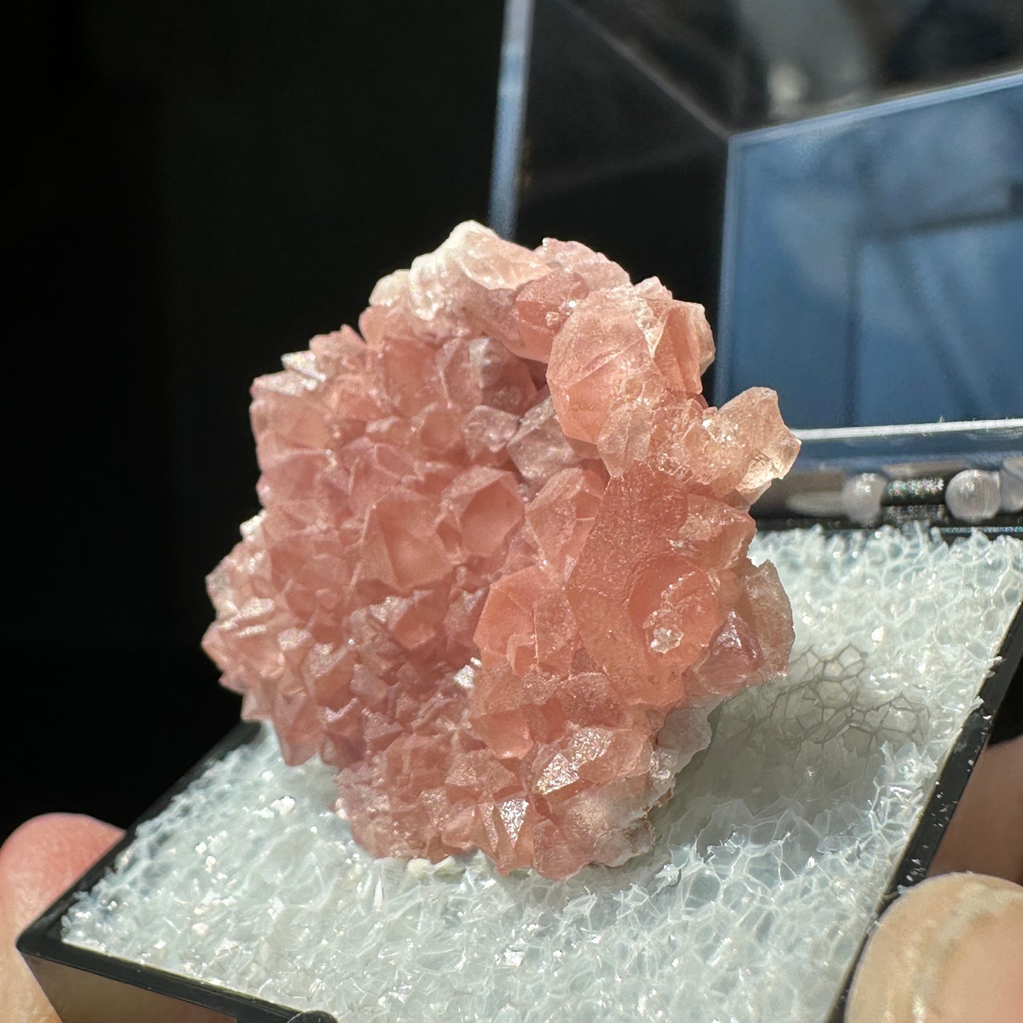 Pink Amethyst Perky Box Specimen from Argentina
