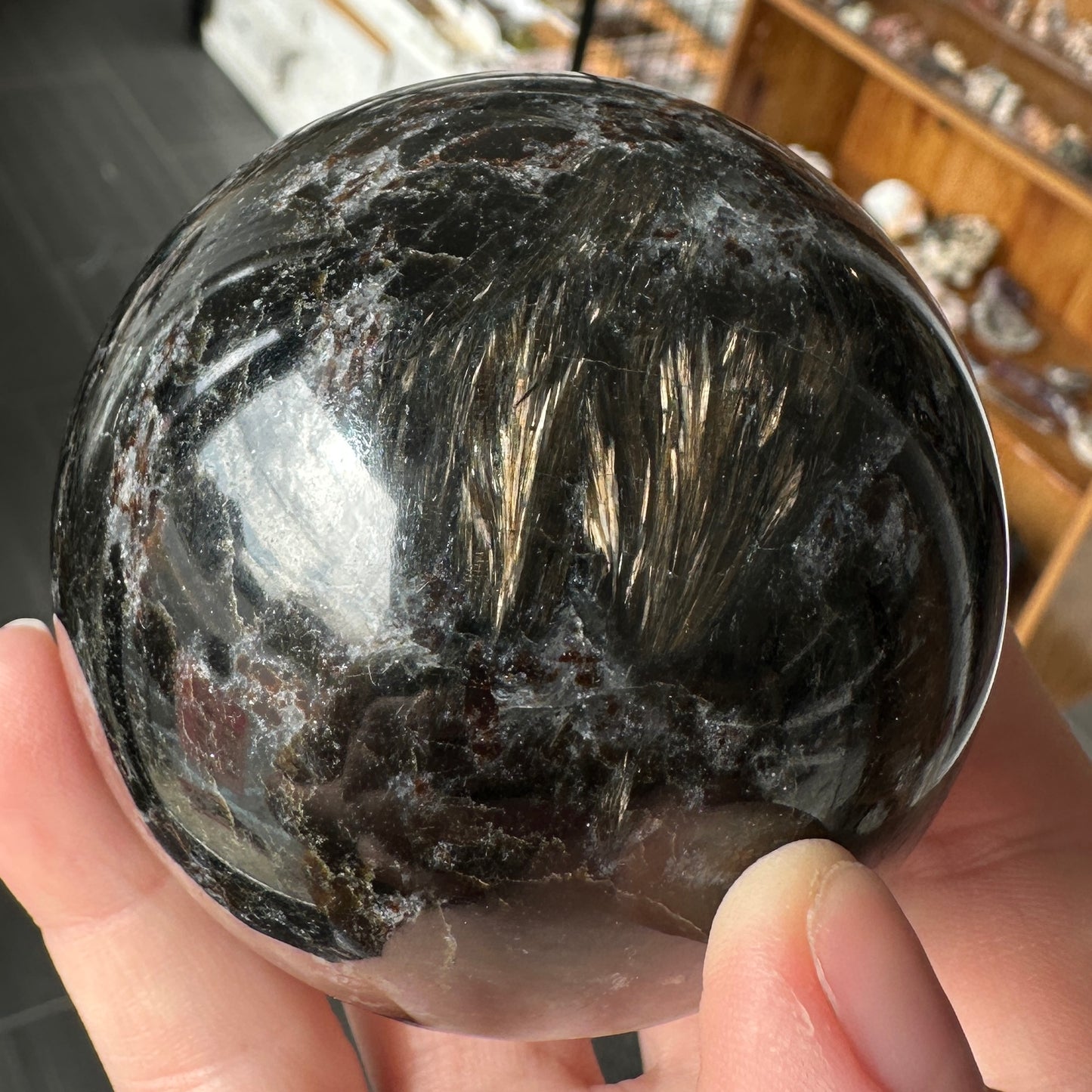 Radiant 6.80cm Astrophyllite and Garnet Sphere from India