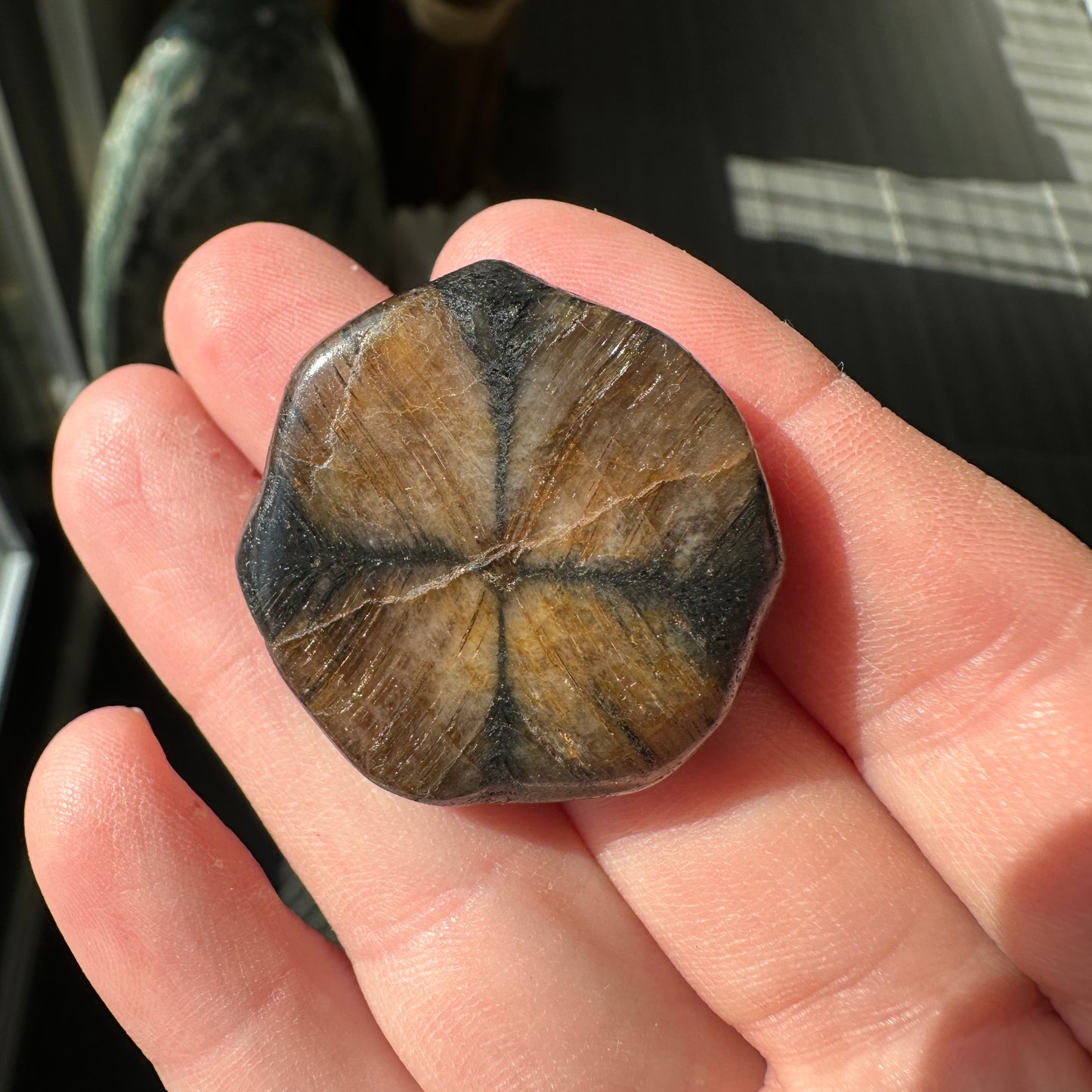 18.23g Andalusite var. Chiastolite Polished Fairy Cross Stone from Spain