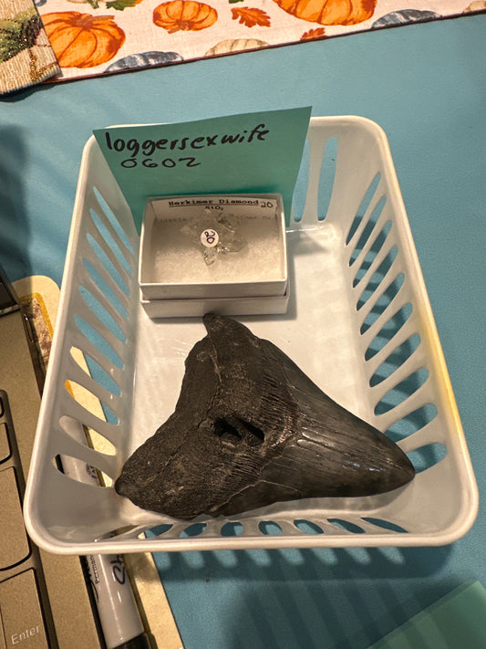 11/7/25 TikTok Live Show Order @loggersexwife0602