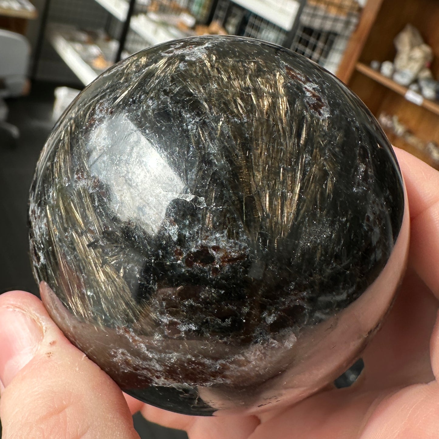 Radiant 6.80cm Astrophyllite and Garnet Sphere from India