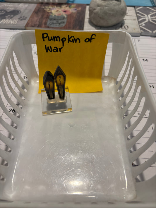 ￼ Mk-Pumpkinofwa60 TikTok live3/11/26￼