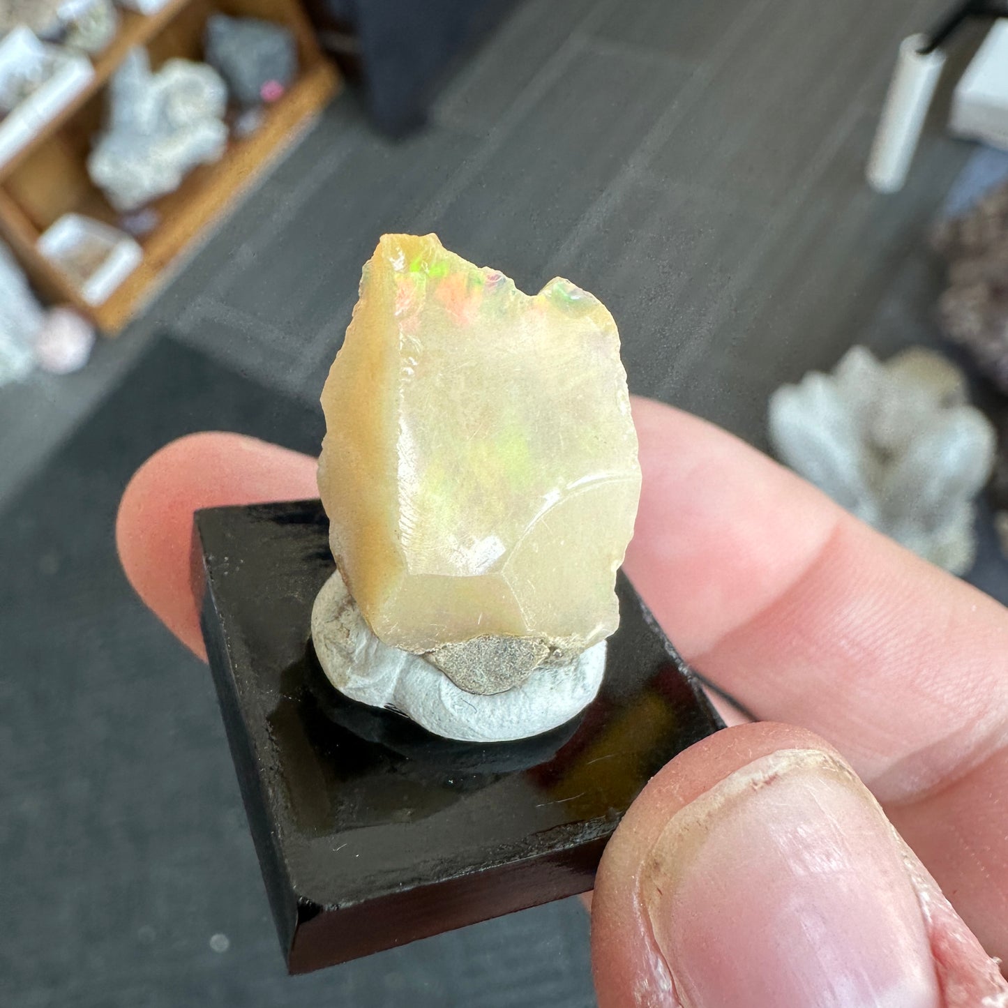 Stunning 2.68g A+ Welo Opal from Ethiopia