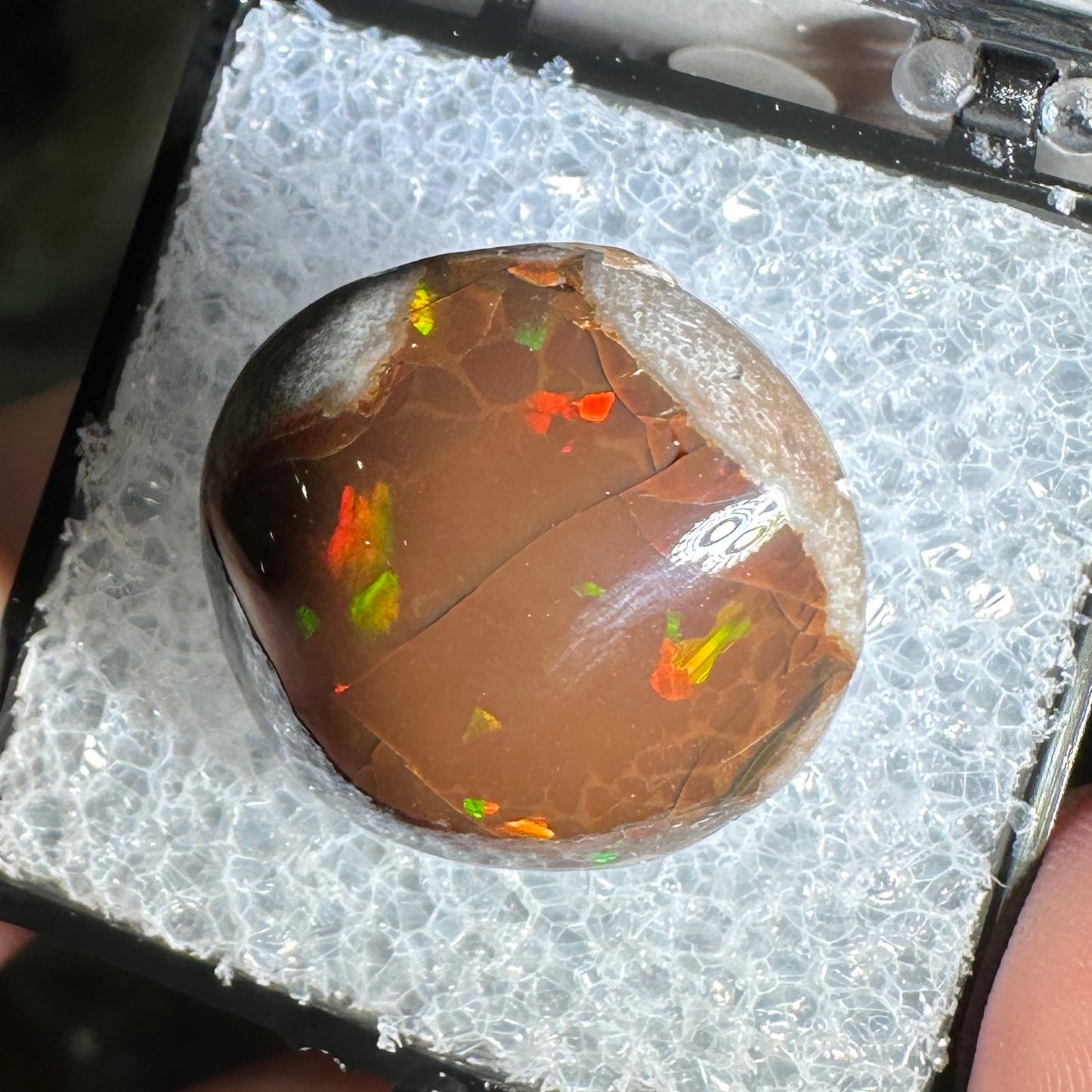18ct A+ Polished Ethiopian Chocolate Opal in Perky Box