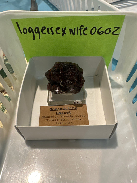 10/10/25 TikTok Live Order loggersexwife0602