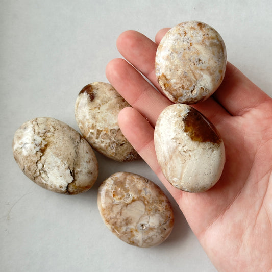 Medium Tumbled Cappuccino Opal Palm Stone from Madagascar