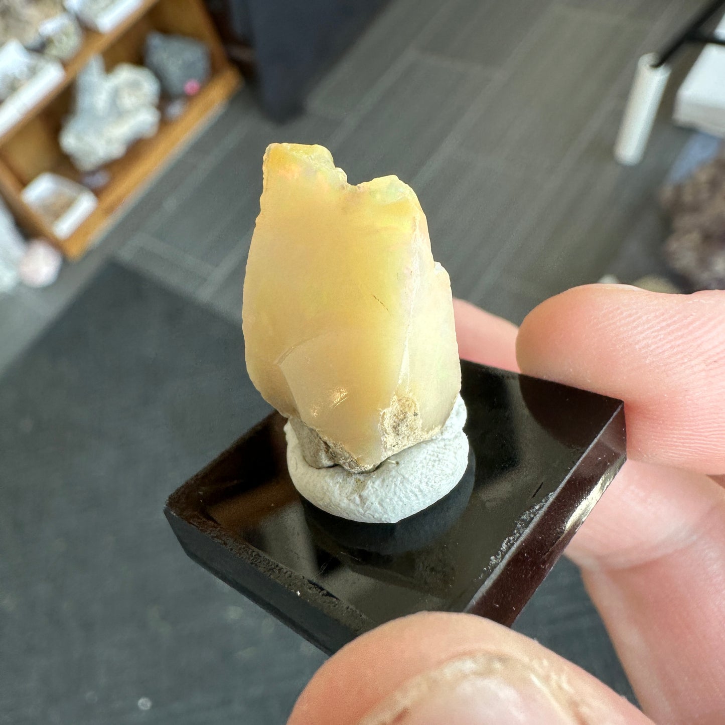 Stunning 2.68g A+ Welo Opal from Ethiopia