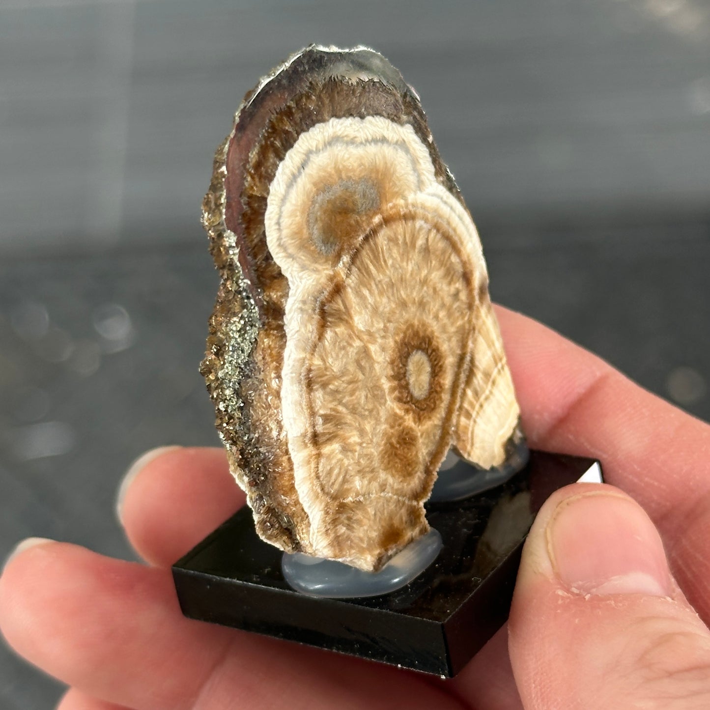 Baryte and Pyrite Slab from Poland, One Time Find!