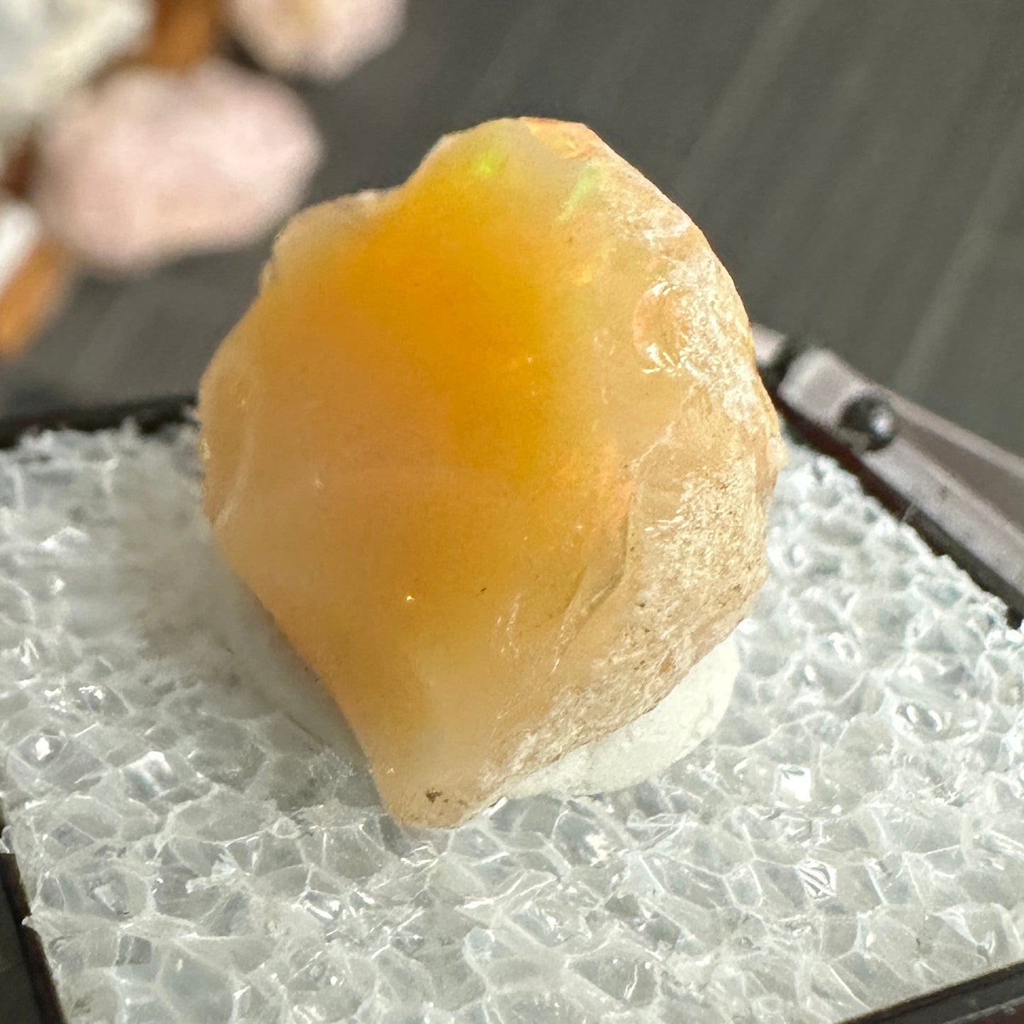 Stunning A+ Welo Opal in Perky Box from Ethiopia