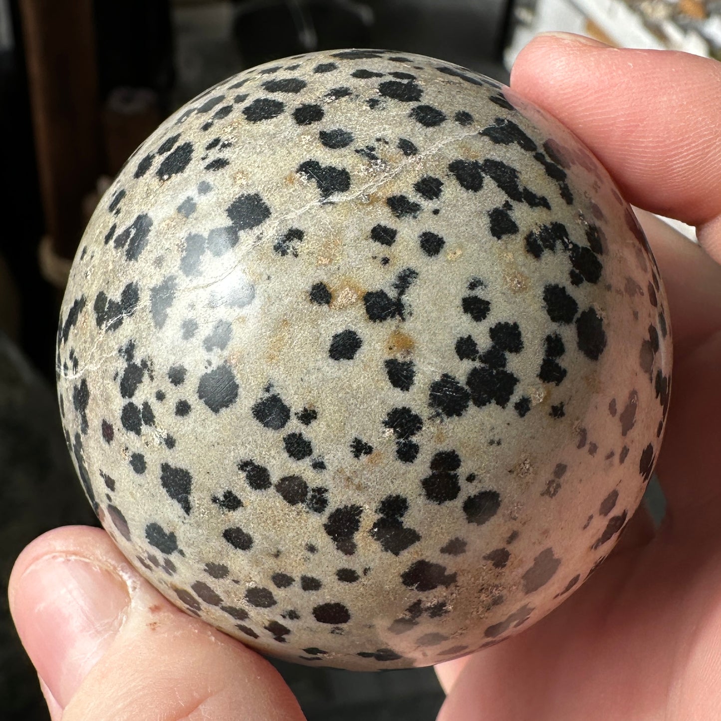 5.75cm Dalmatian Jasper Sphere from Mexico