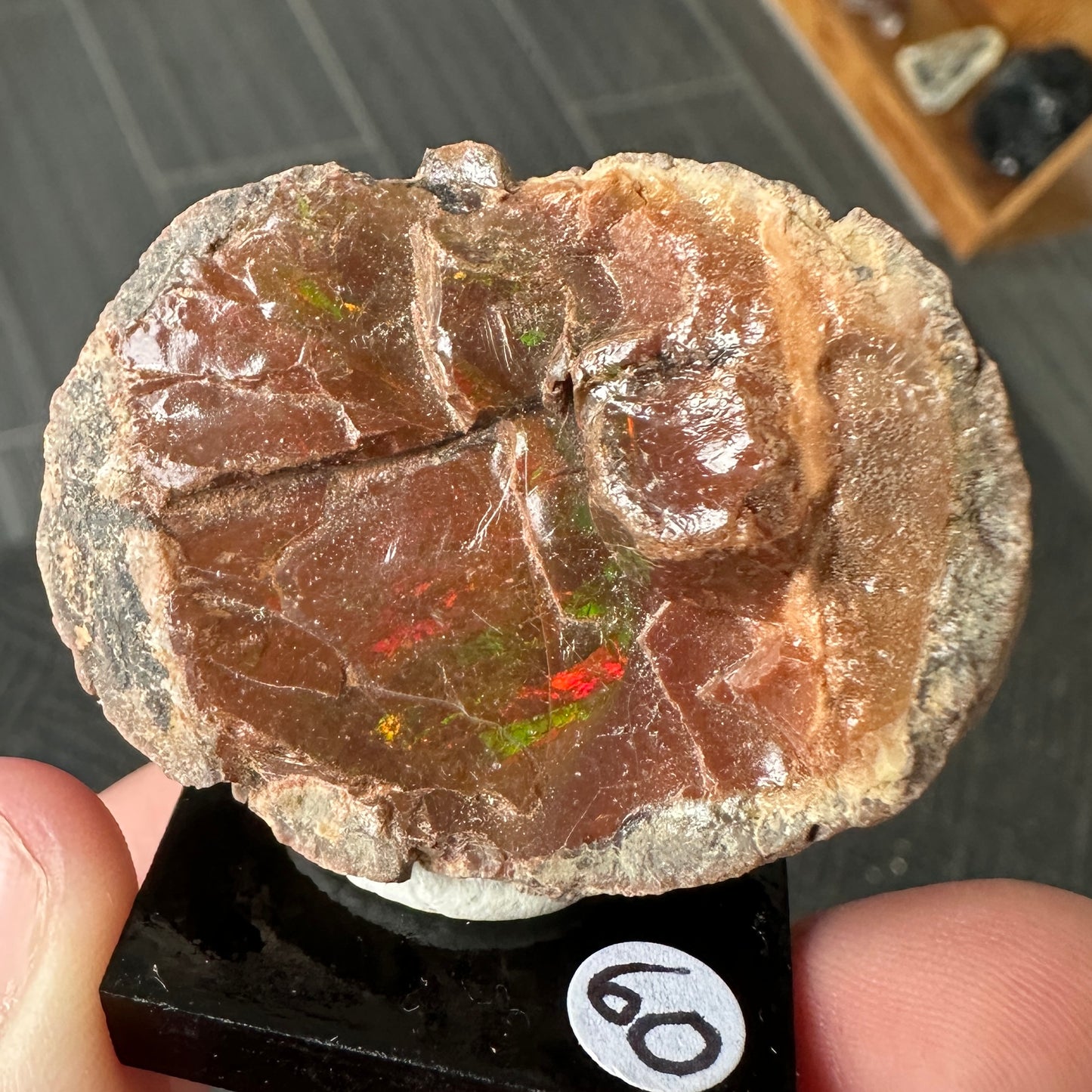 Chocolate Fire Opal Miniature from Ethiopia