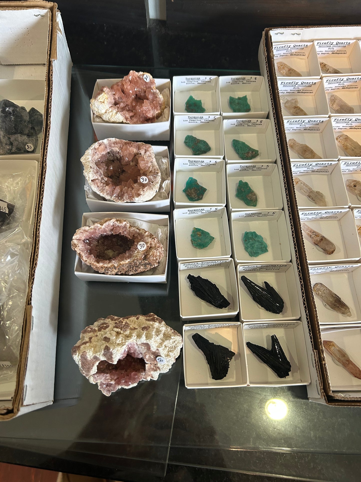 Cara Group 8/26/25