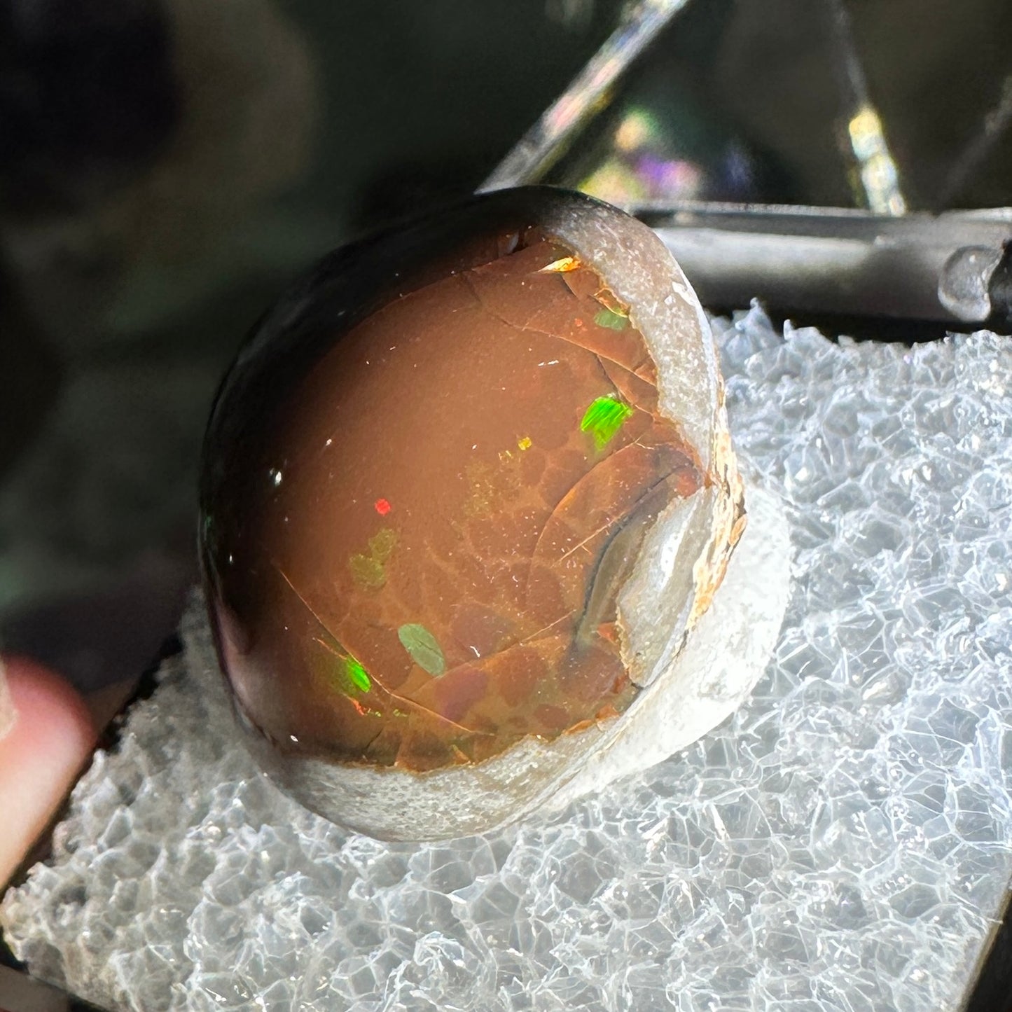 18ct A+ Polished Ethiopian Chocolate Opal in Perky Box