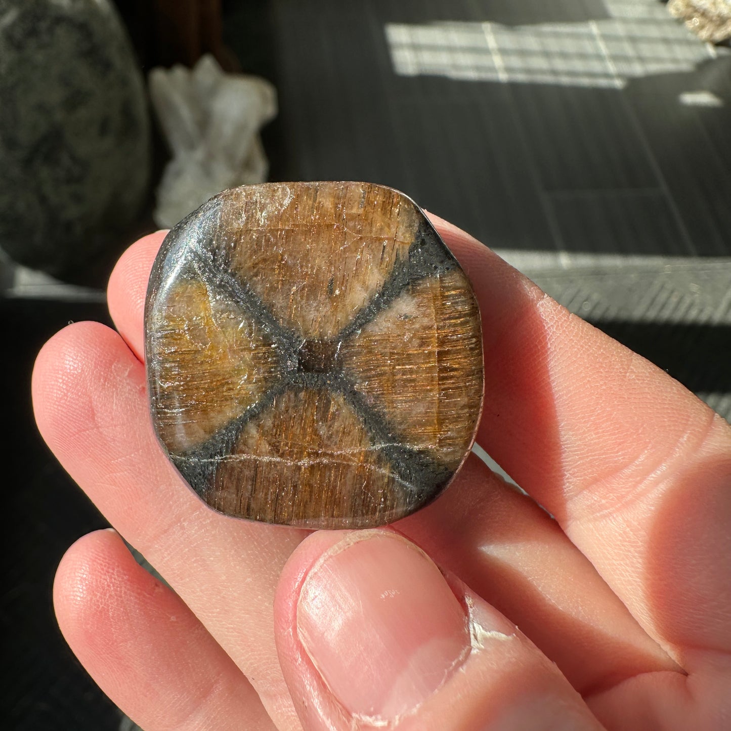 22.72 g Andalusite var. Chiastolite Polished Fairy Cross Stone from Spain