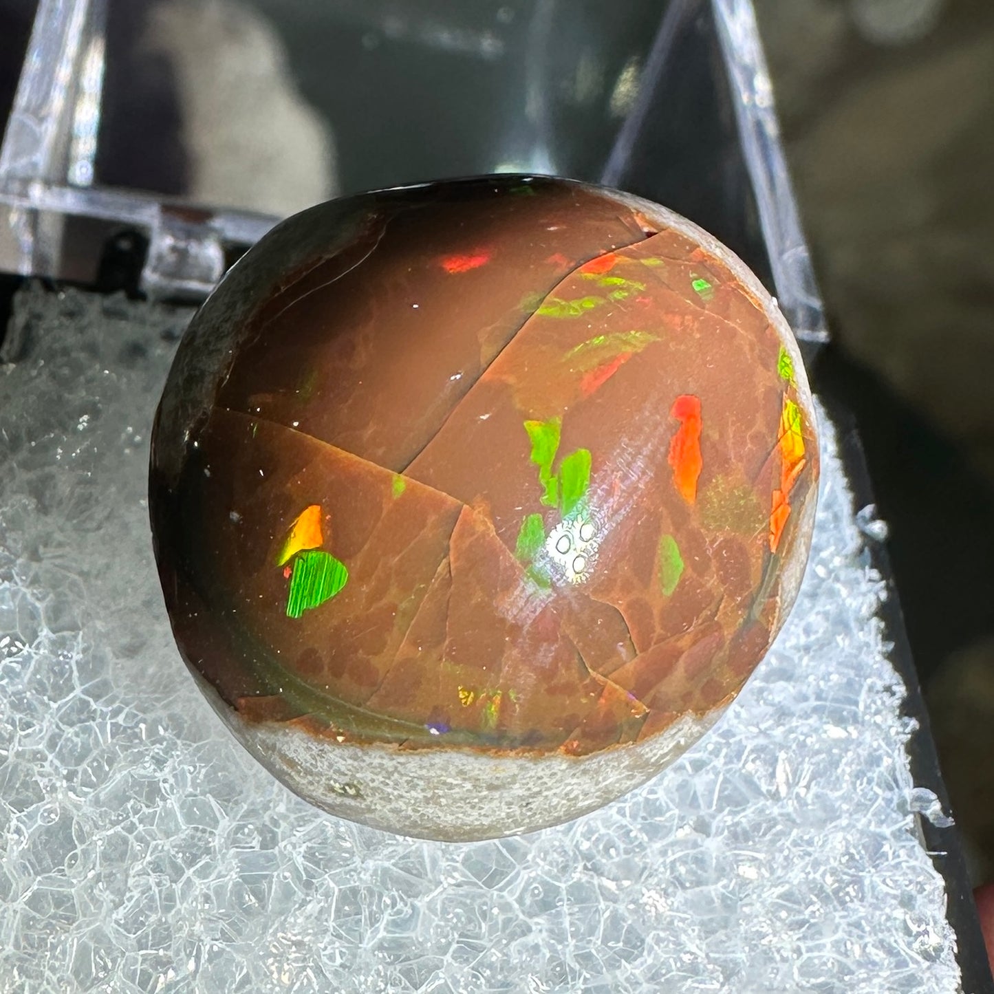 18ct A+ Polished Ethiopian Chocolate Opal in Perky Box
