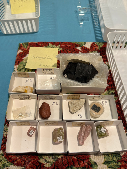 01/09/25 TikTok Live Show Order @vineyardgay