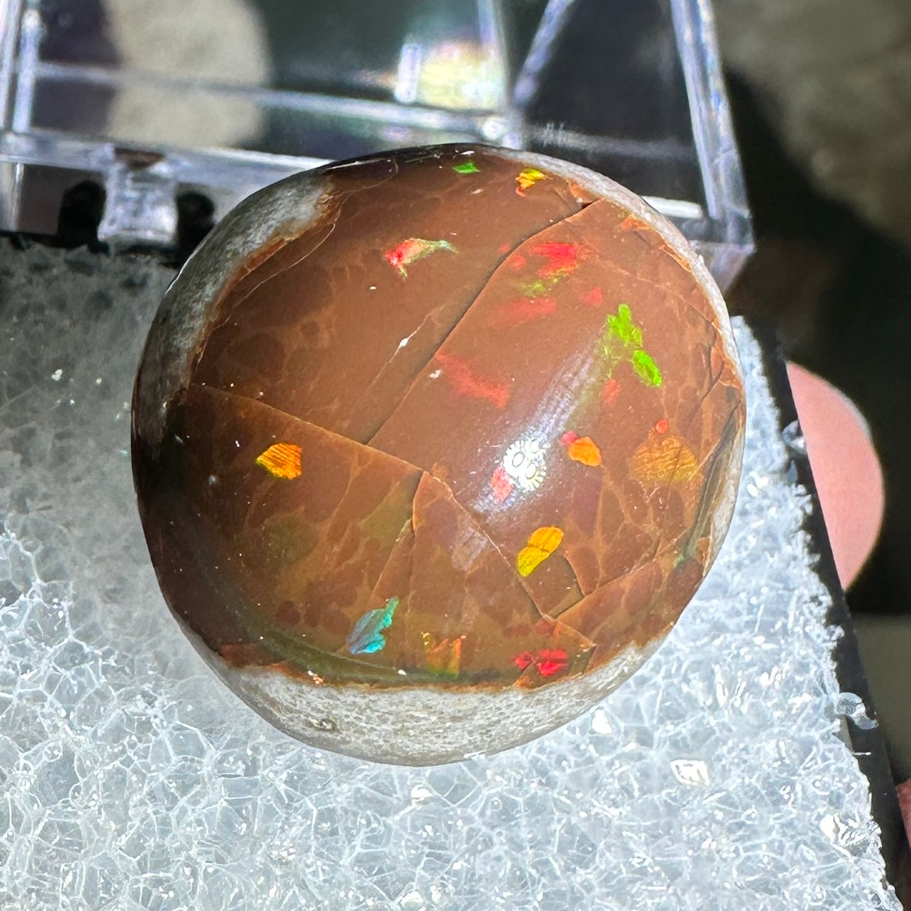 18ct A+ Polished Ethiopian Chocolate Opal in Perky Box
