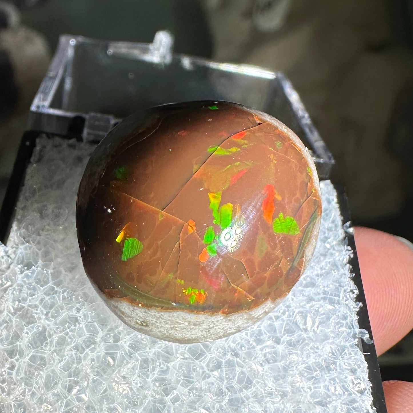 18ct A+ Polished Ethiopian Chocolate Opal in Perky Box