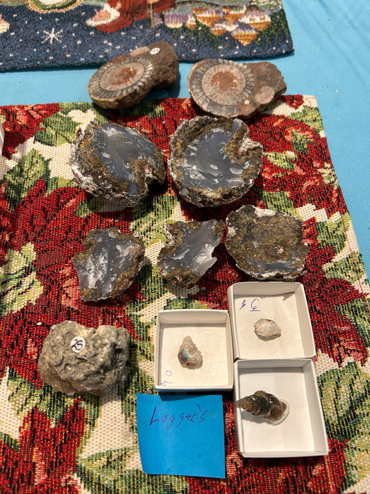 Loggerstiktok live 1/3/26