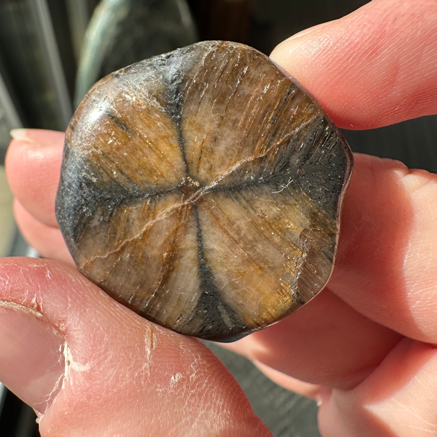 18.23g Andalusite var. Chiastolite Polished Fairy Cross Stone from Spain