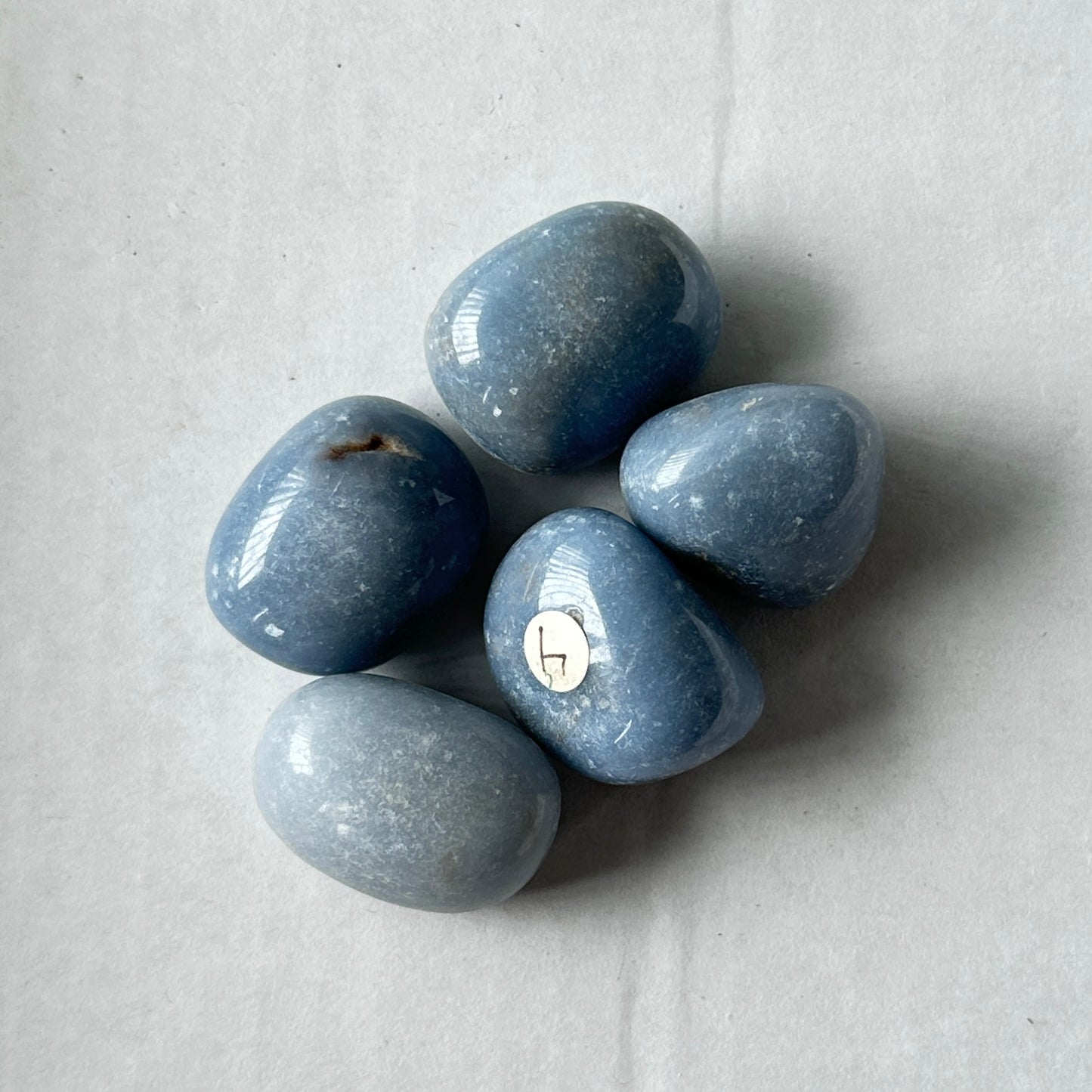 Medium Tumbled Blue Angelite from Peru