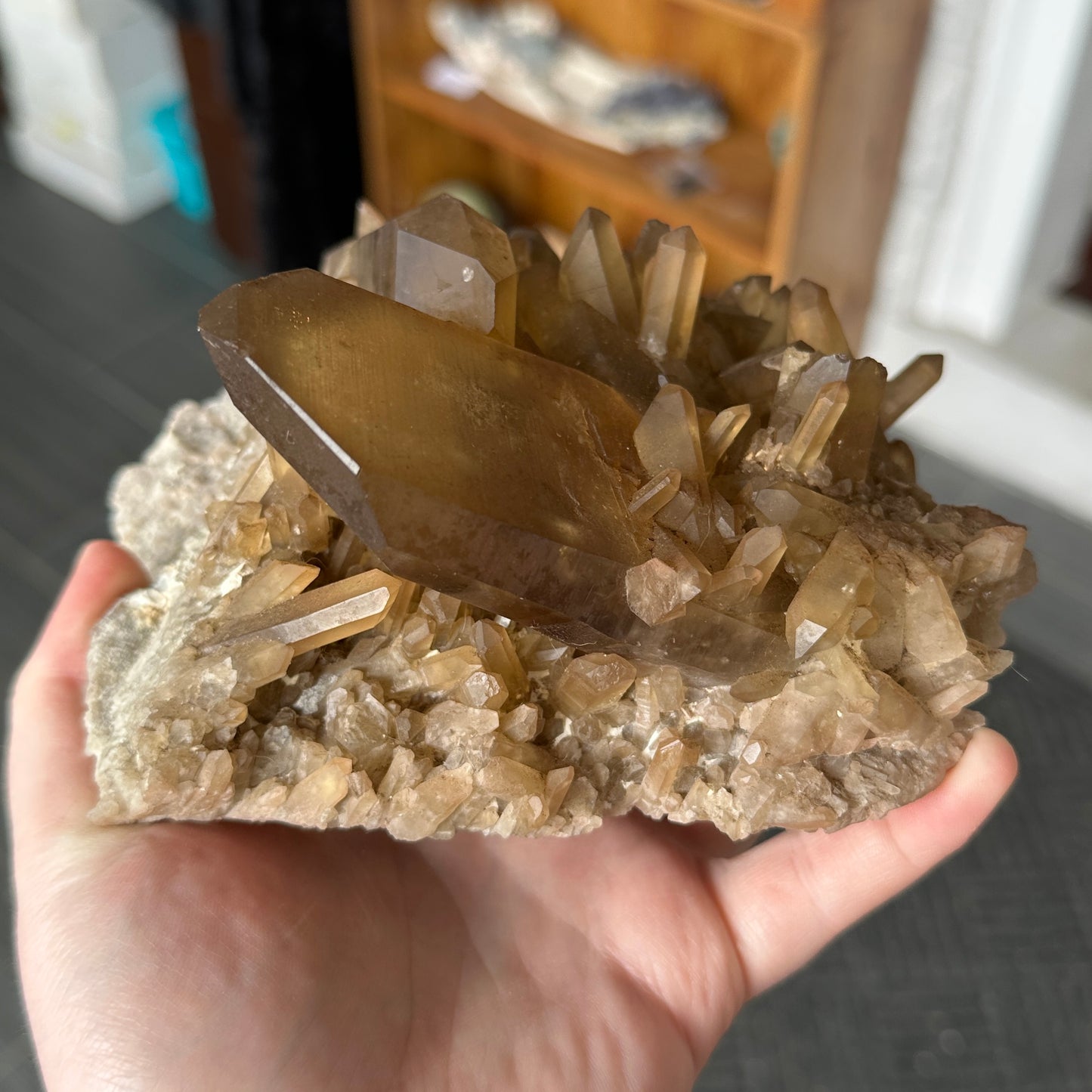 Large Cabinet Japan Law Twin Citrine from Zambia