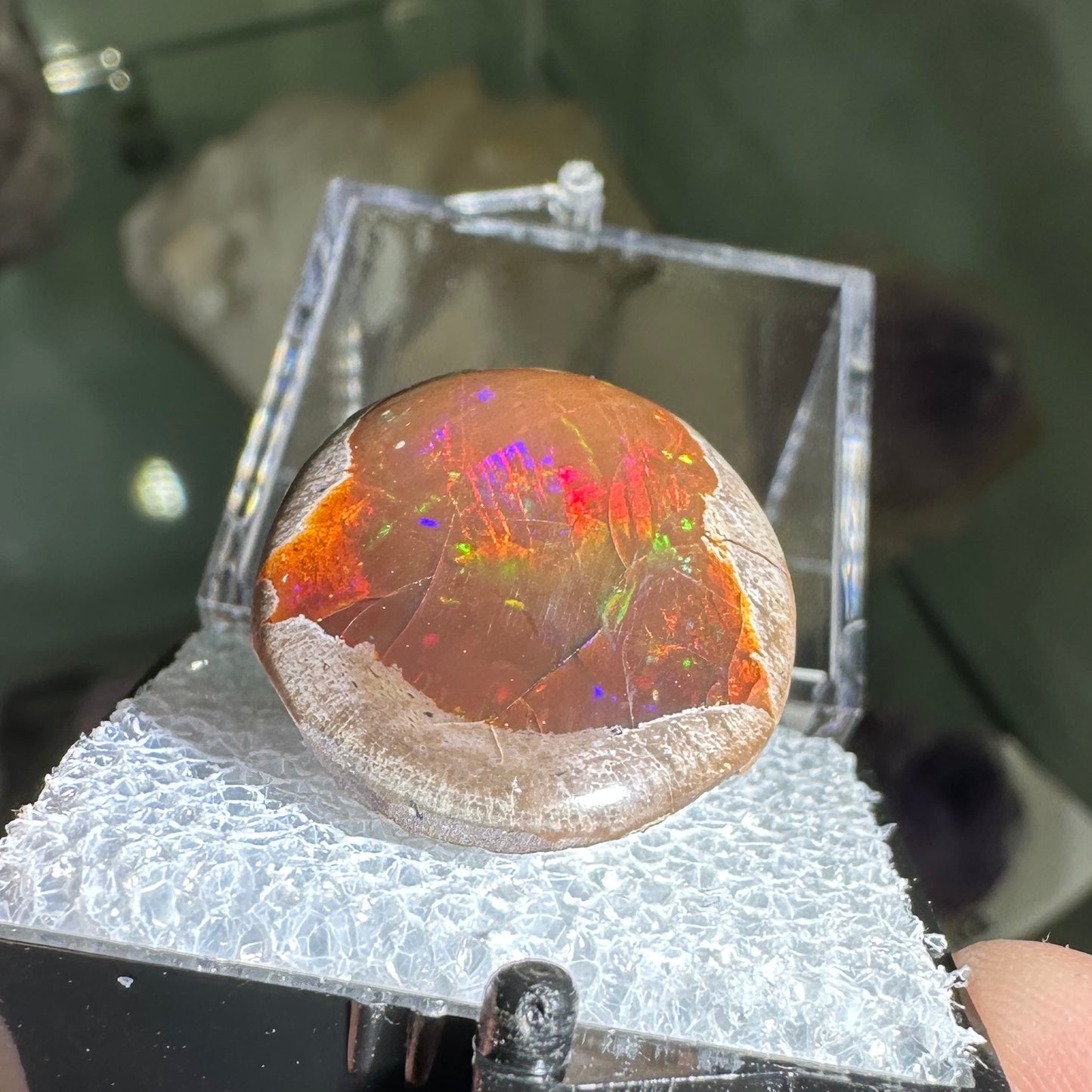 26ct A+ Polished Ethiopian Chocolate Opal in Perky Box