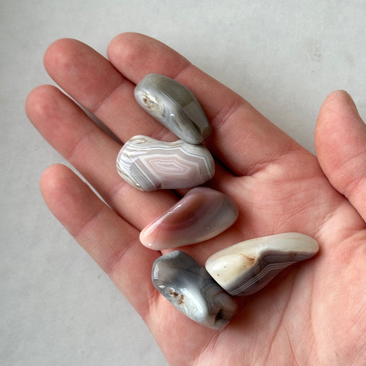 Medium Tumbled Botswana Agate