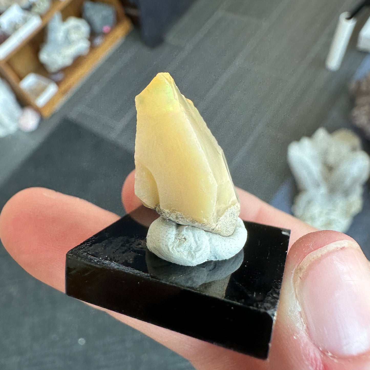 Stunning 2.68g A+ Welo Opal from Ethiopia