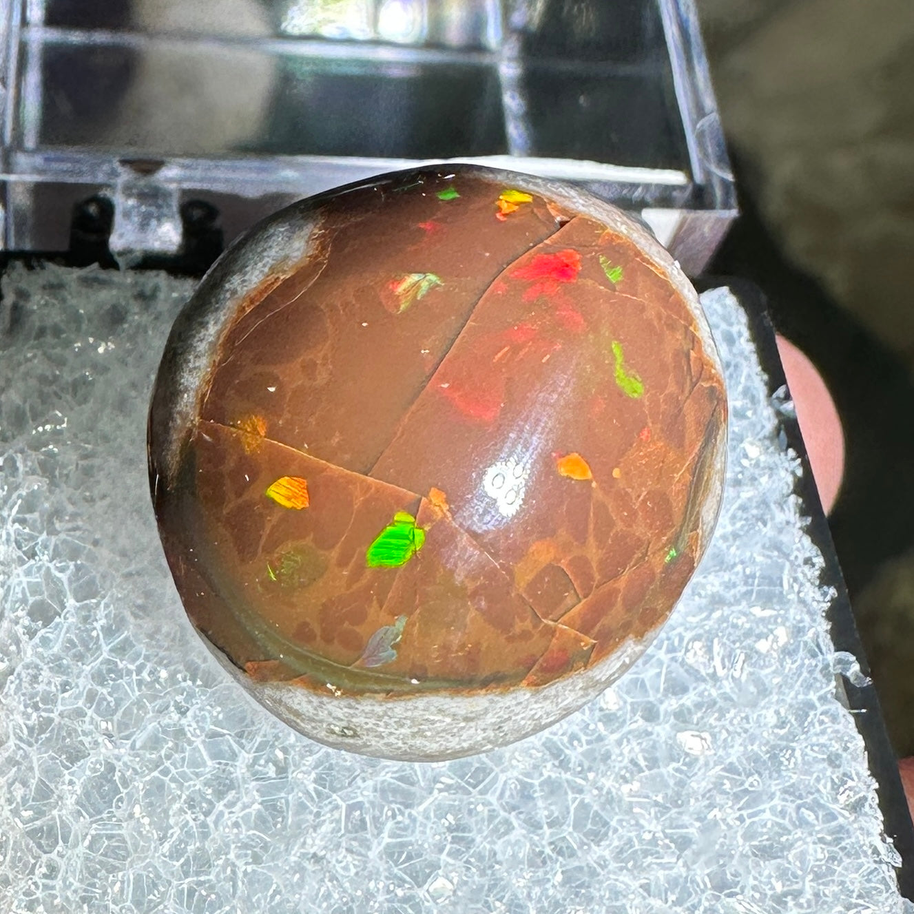 18ct A+ Polished Ethiopian Chocolate Opal in Perky Box