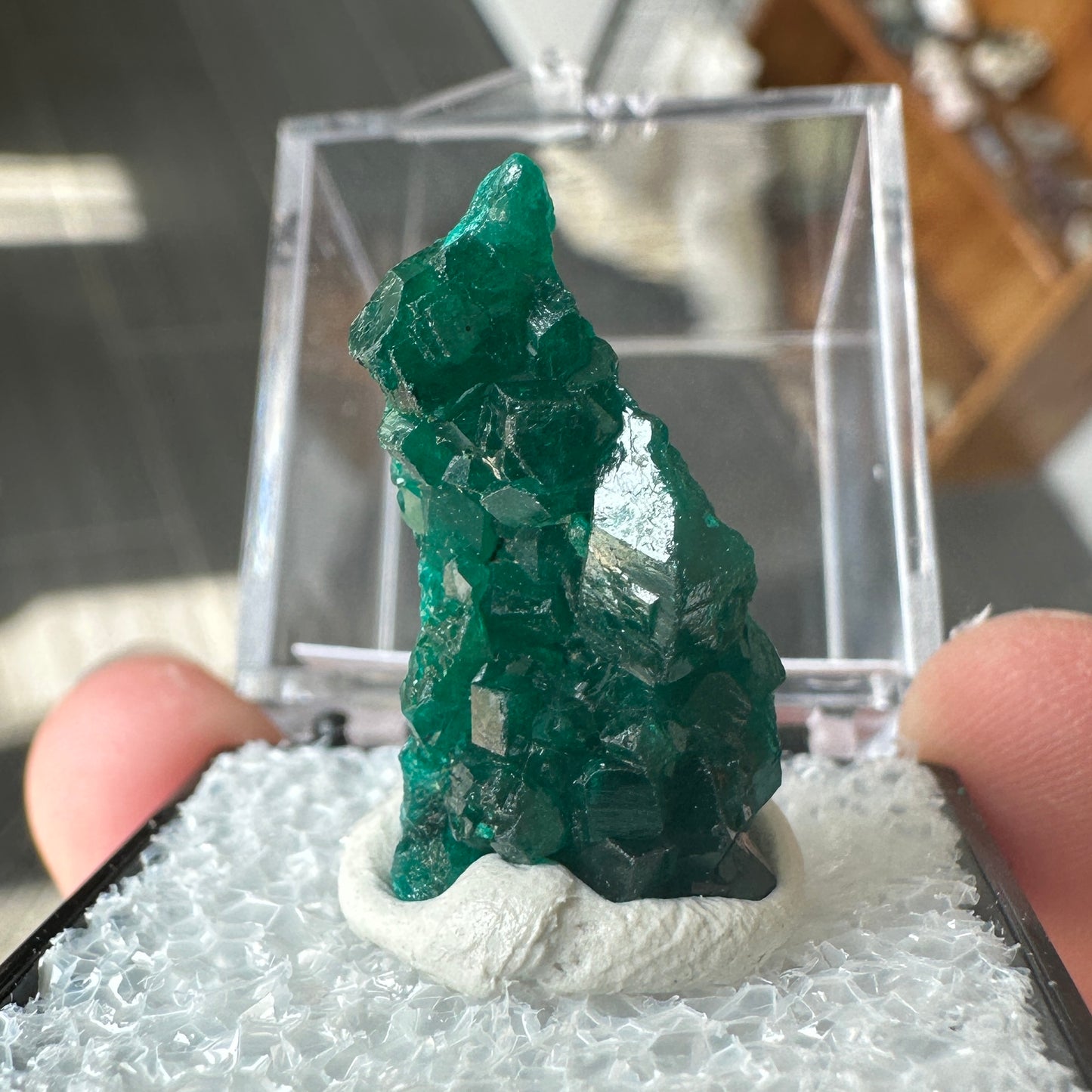 Gemmy Green Dioptase Perky Box Specimen from DR Congo