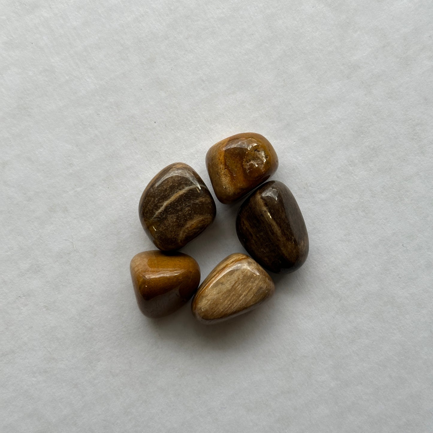 Medium Tumbled Petrified Wood