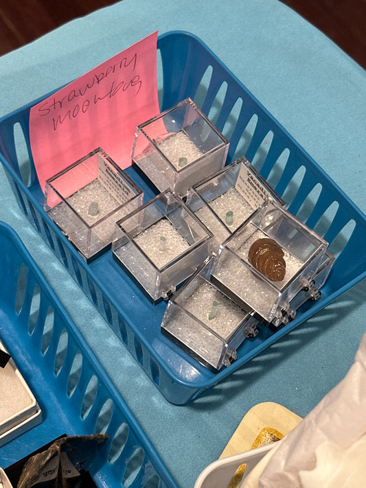 03/06/26 TikTok Live Show Order Strawberrymoonbug