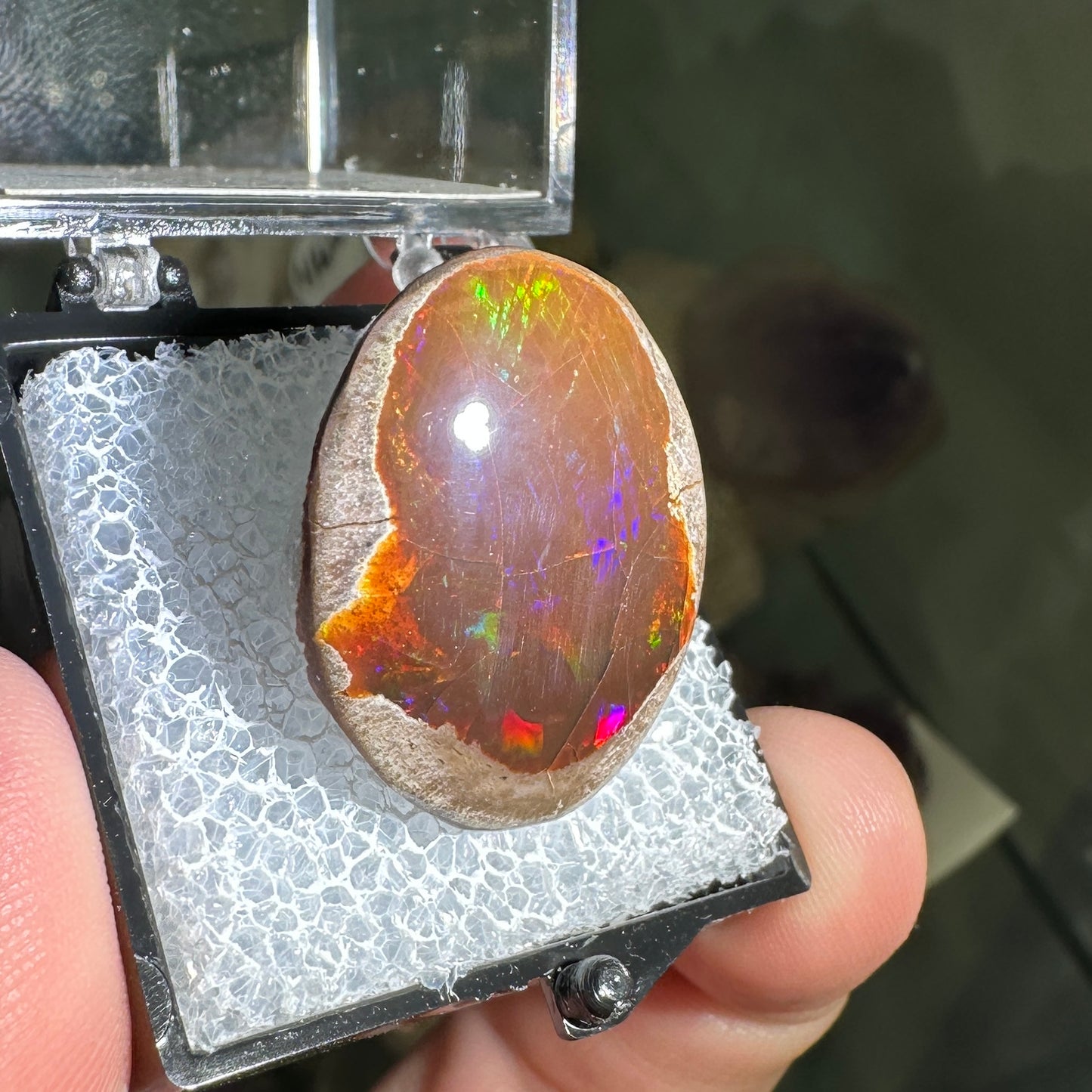 26ct A+ Polished Ethiopian Chocolate Opal in Perky Box