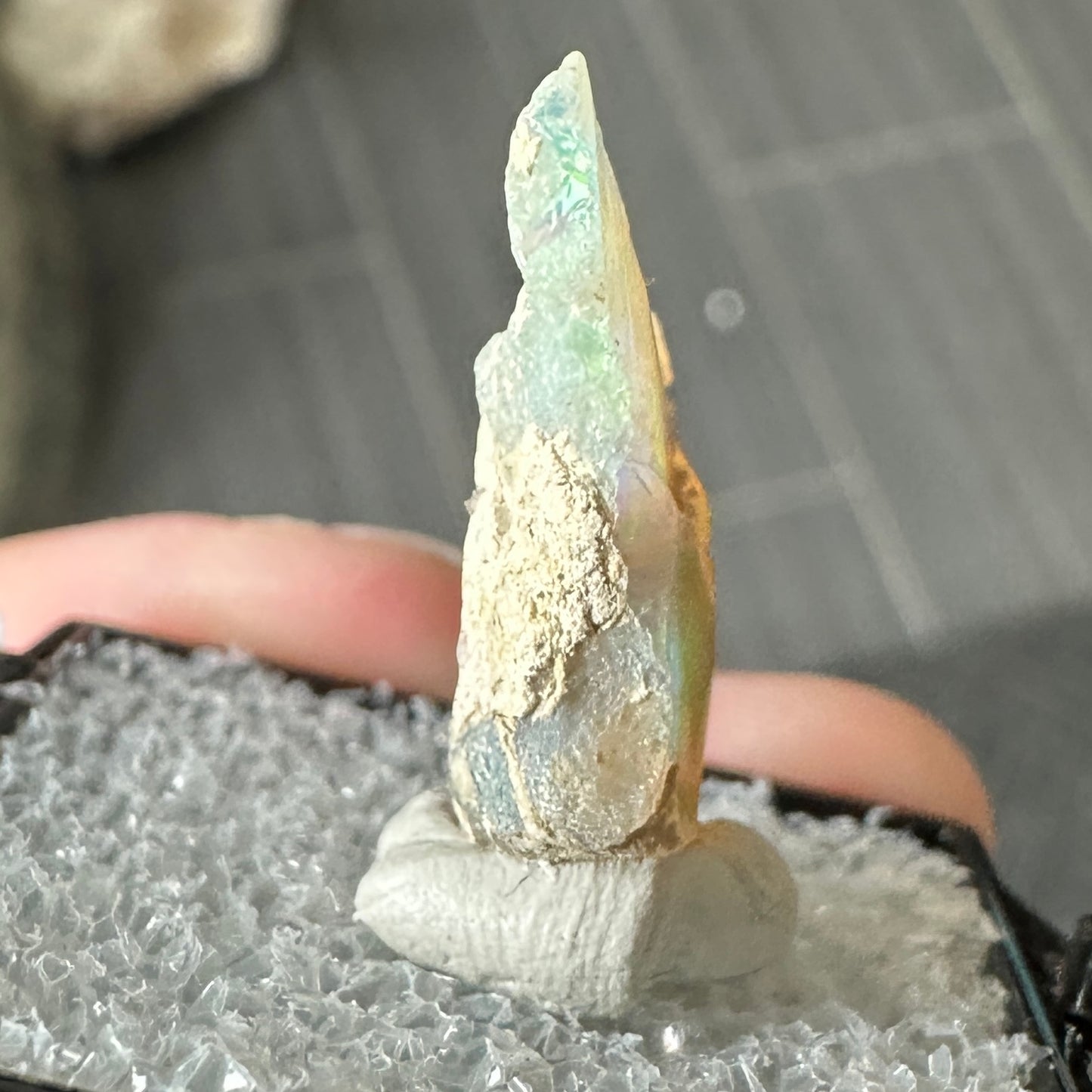 Stunning A+ Welo Opal in Perky Box from Ethiopia