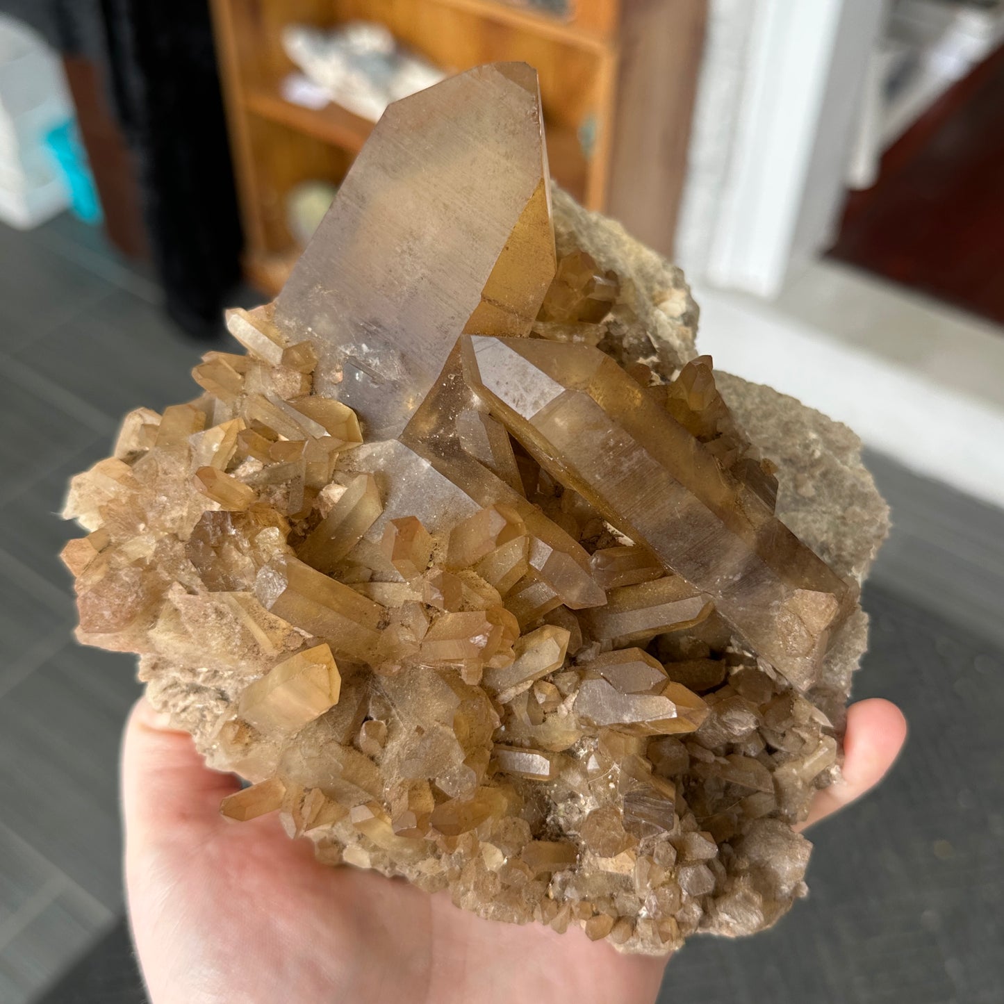 Large Cabinet Japan Law Twin Citrine from Zambia