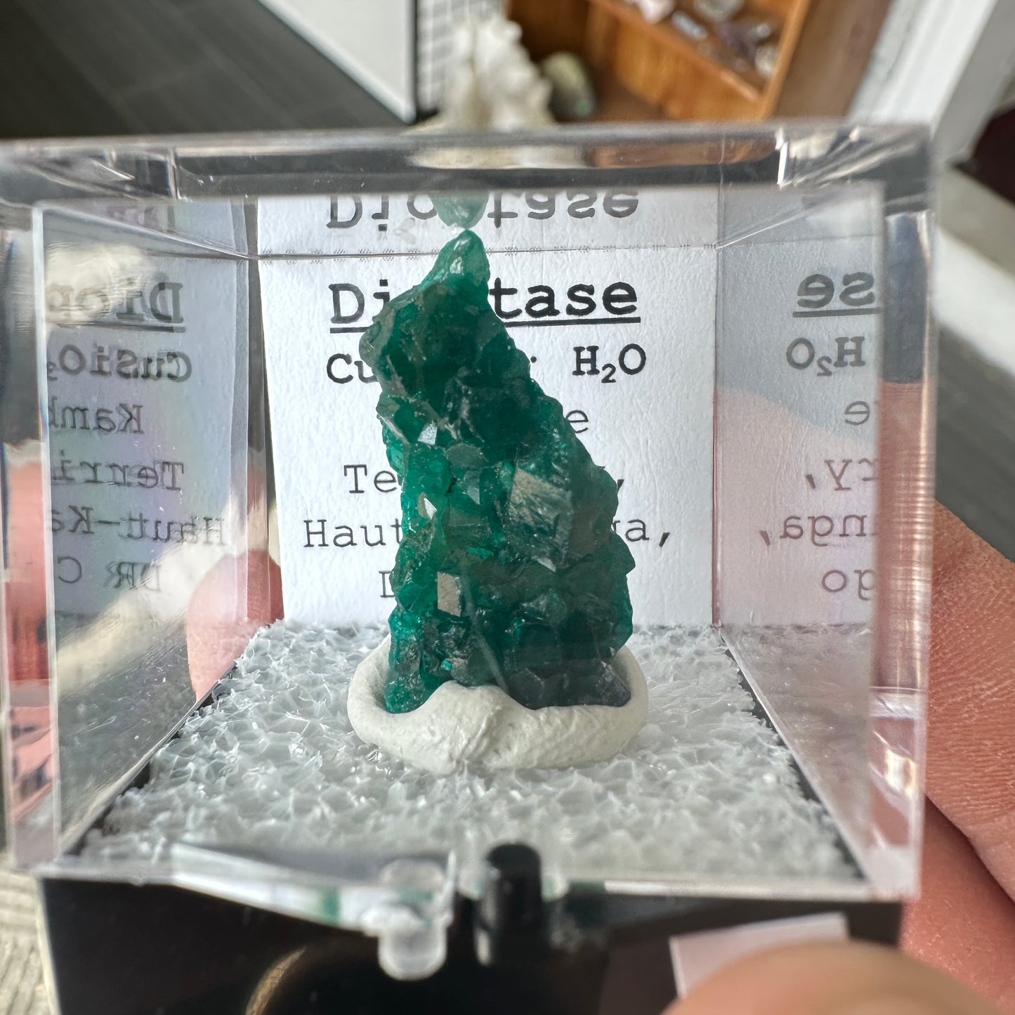 Gemmy Green Dioptase Perky Box Specimen from DR Congo