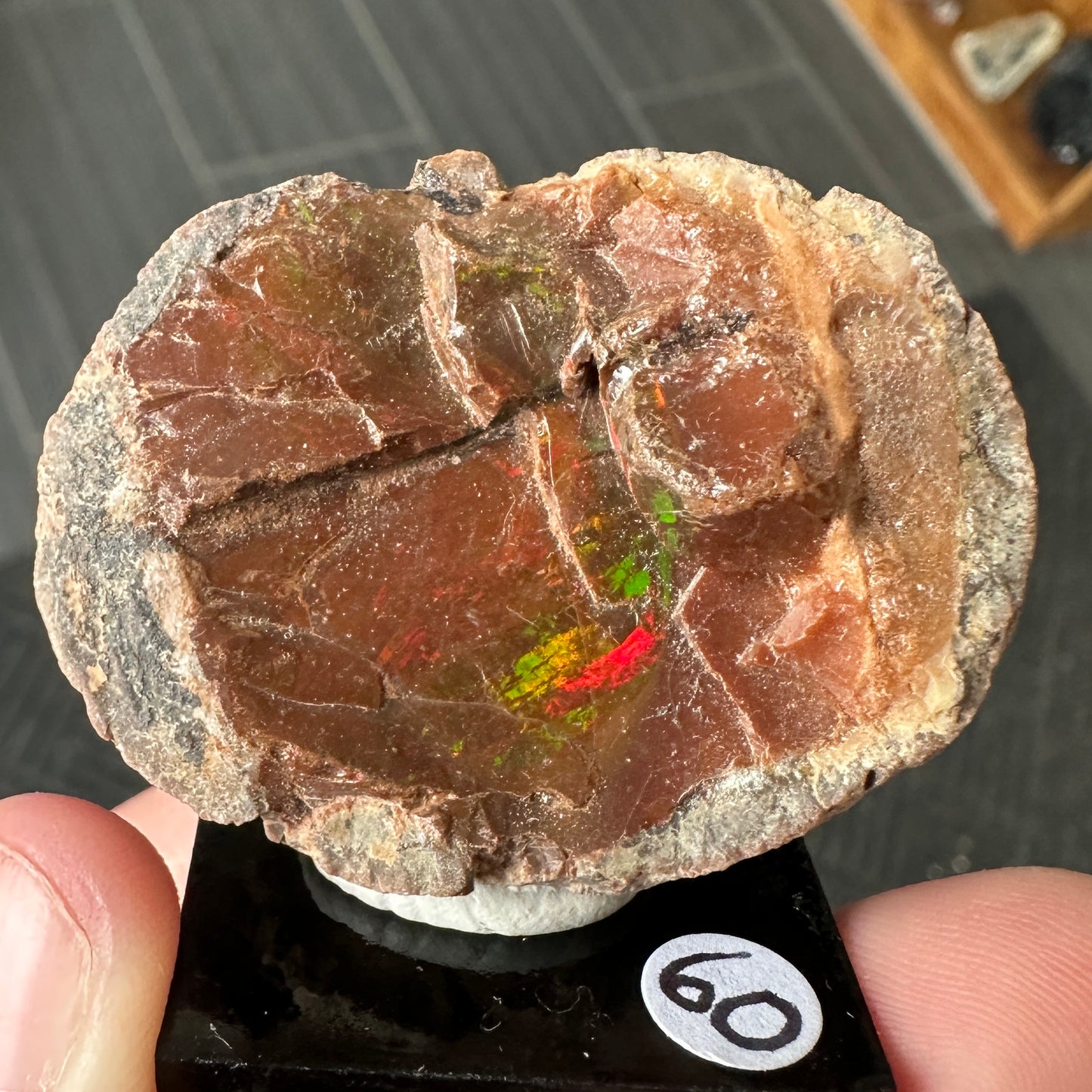 Chocolate Fire Opal Miniature from Ethiopia