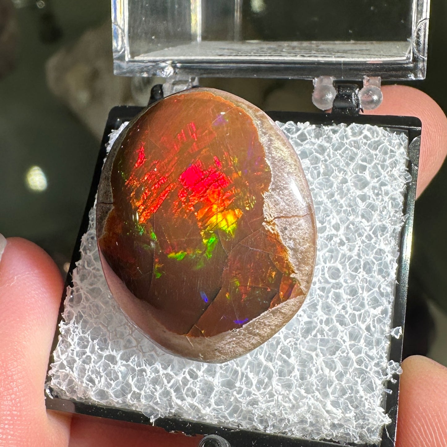 26ct A+ Polished Ethiopian Chocolate Opal in Perky Box