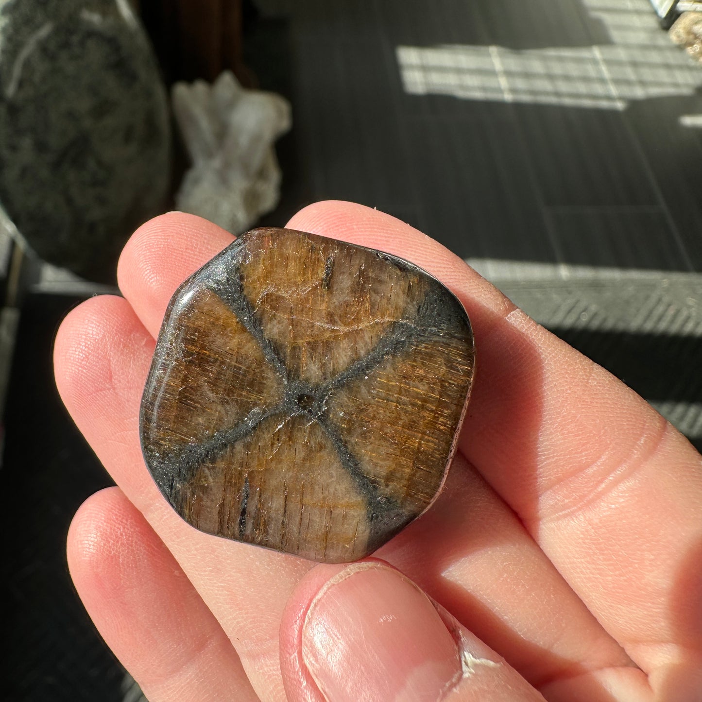 22.72 g Andalusite var. Chiastolite Polished Fairy Cross Stone from Spain