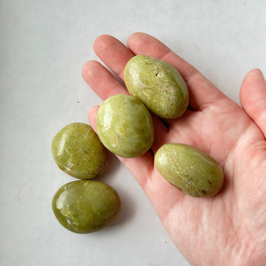 Medium Tumbled Green Opal Palm Stone from Madagascar