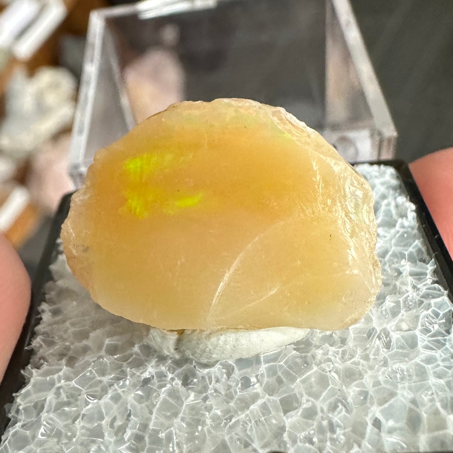 Stunning A+ Welo Opal in Perky Box from Ethiopia