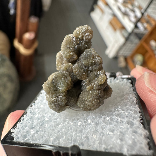 Old Stock Byssolite Included Green Quartz Perky Box Specimen from Pennsylvania