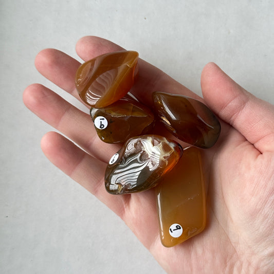 Medium Tumbled Orange Oregon Opal