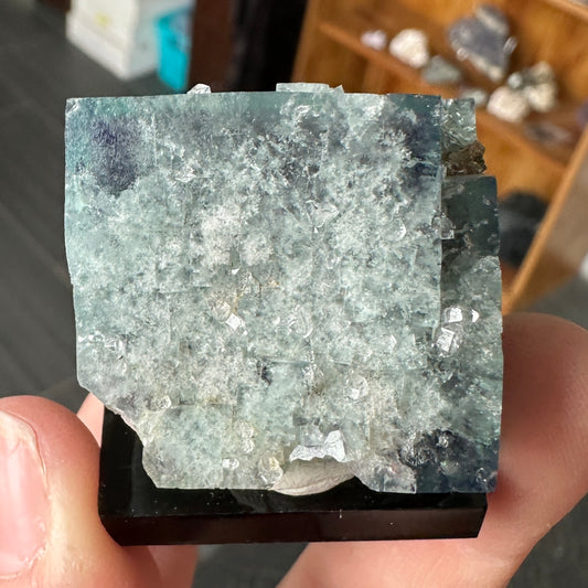 Miniature Size Green-Blue Daylight UV Reactive Fluorite with Quartz from the Hidden Forest Pocket, Diana Maria Mine, UK