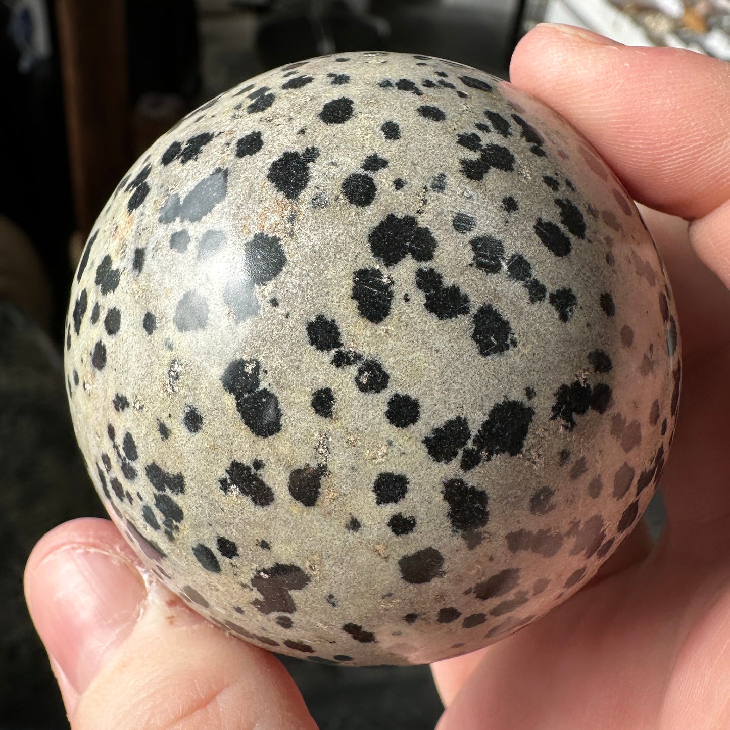 5.75cm Dalmatian Jasper Sphere from Mexico